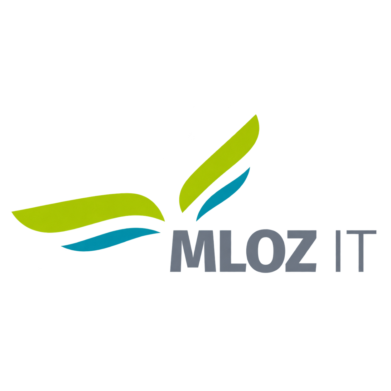 MLOZ IT